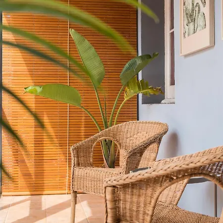 Sunny With A 100m2 Oasis Apartment
