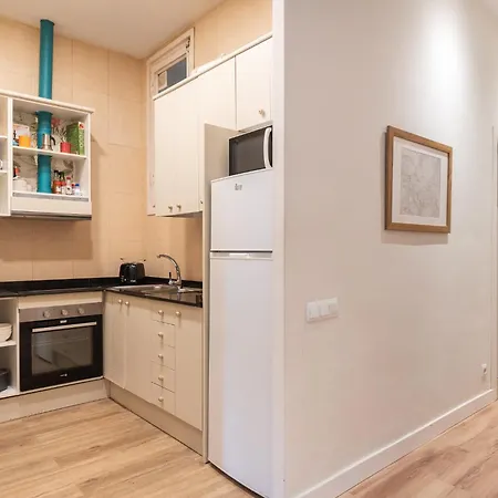 Apartment Sunny With A 100m2 Oasis Barcelona